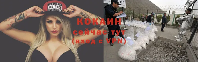 Cocaine FishScale  что такое   Прокопьевск 